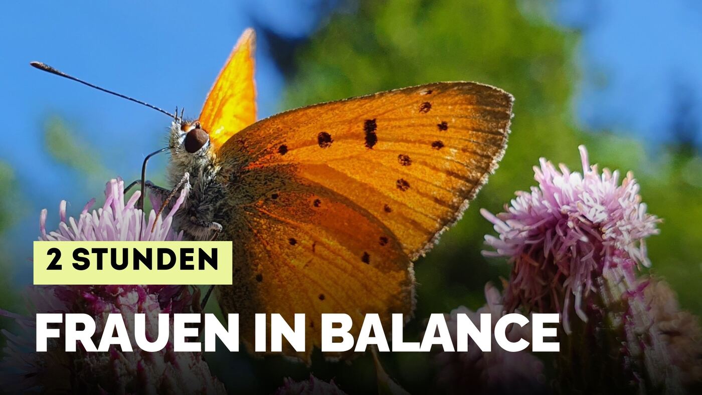 Frauen in Balance